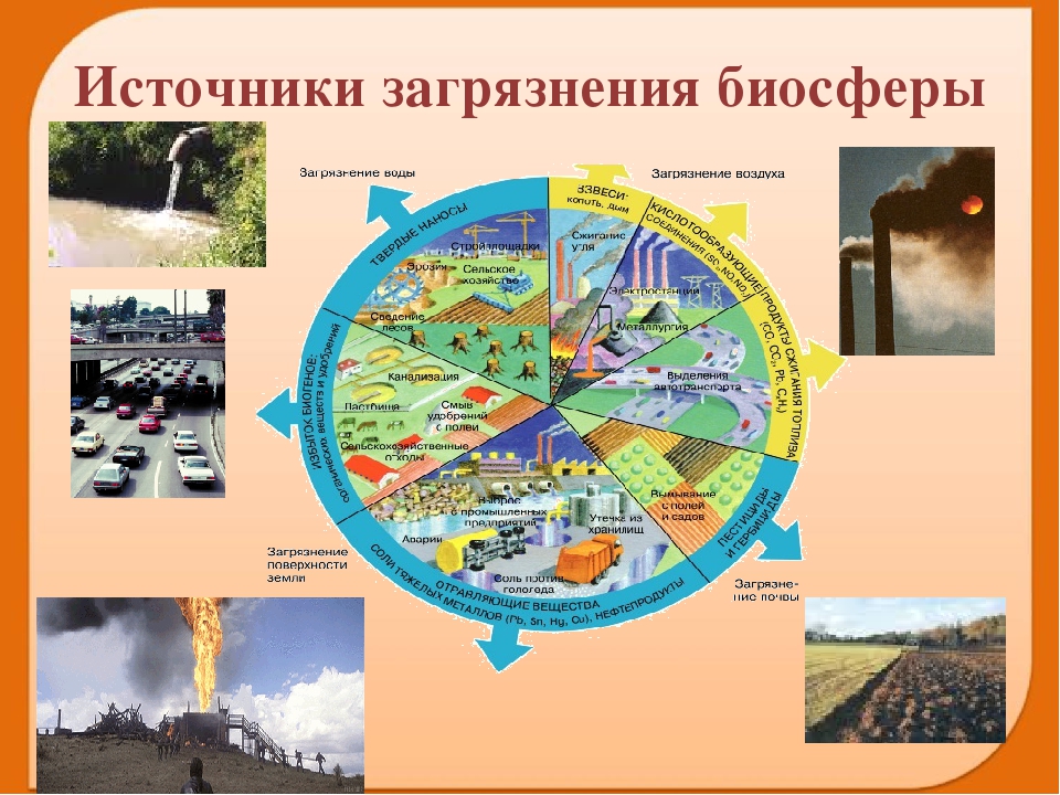 Проблема загрязнения биосферы. Основные источники загрязнения биосферы. Причины загрязнения биосферы. Основные загрязнители биосферы. Источники и виды загрязнения биосферы.