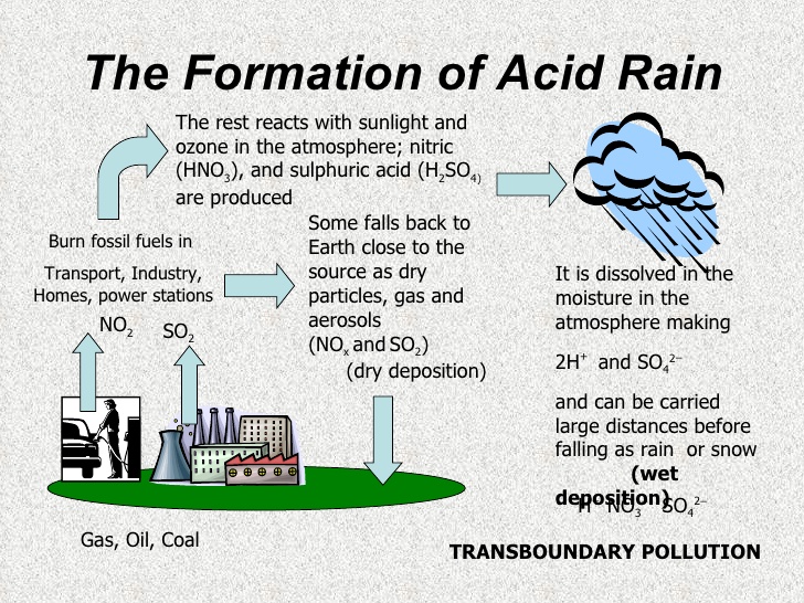 Как решить проблему кислотных дождей рисунок