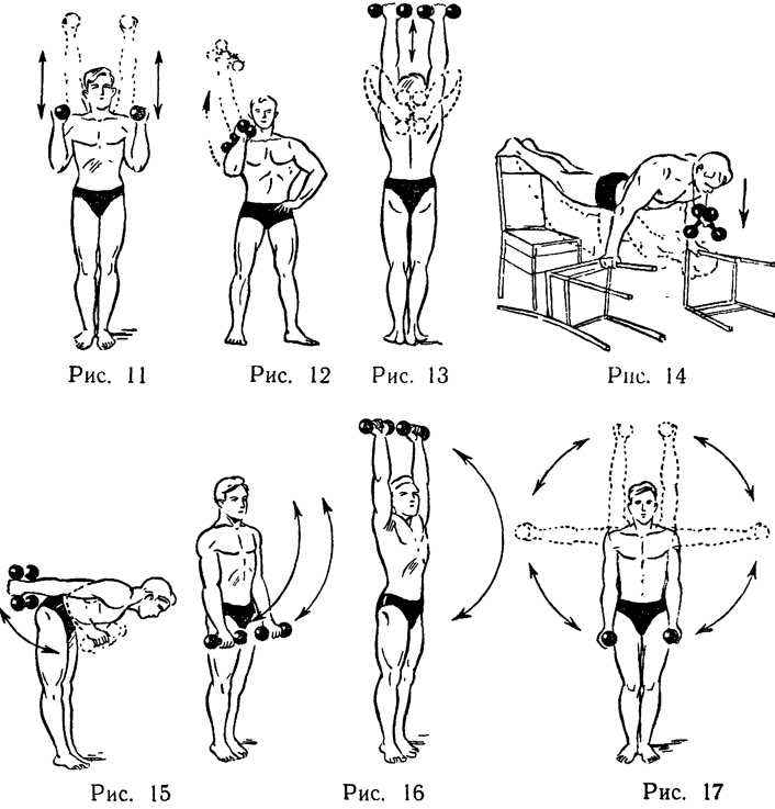 Комплекс упражнений с гантелями в домашних условиях для мужчин на неделю в картинках для начинающих