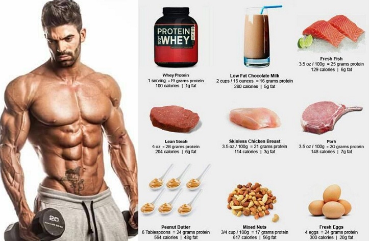 Para que sirve la proteina en gym