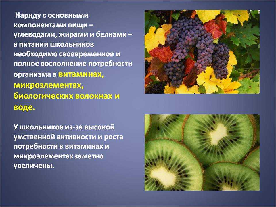 Значение углеводов в живой природе и жизни человека презентация