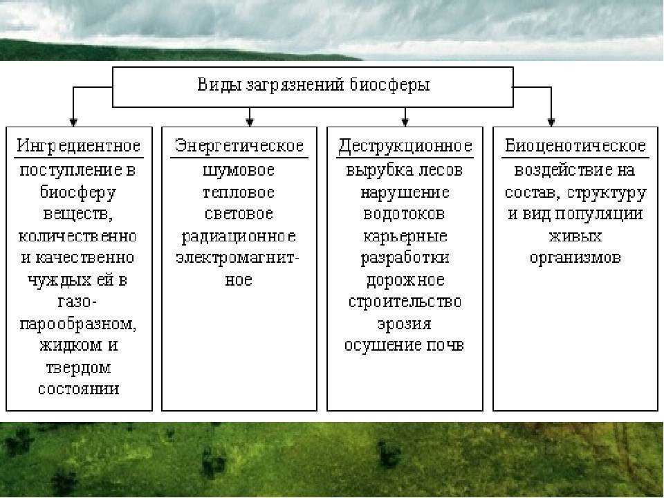 Загрязнение биосферы презентация