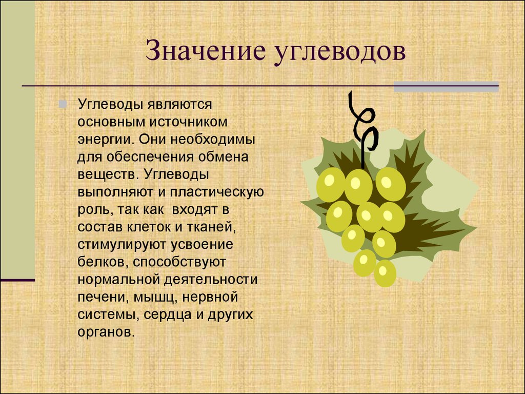 Суть основное значение. Значение углеводов в организме человека кратко. Углеводы значение вещества. Углеводы значение для организма человека 3 класс. Биологическое значение углеводов.