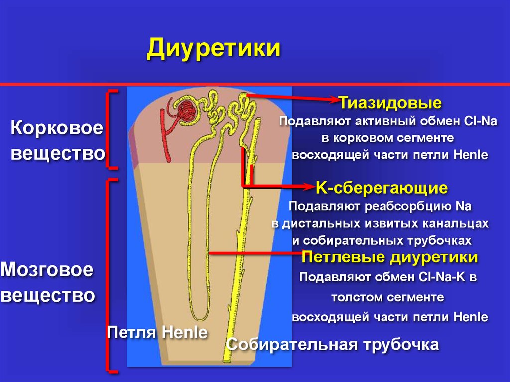 Молоко мочегонное или нет