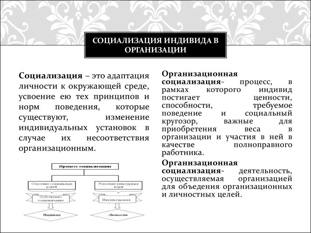 Социализация индивида план