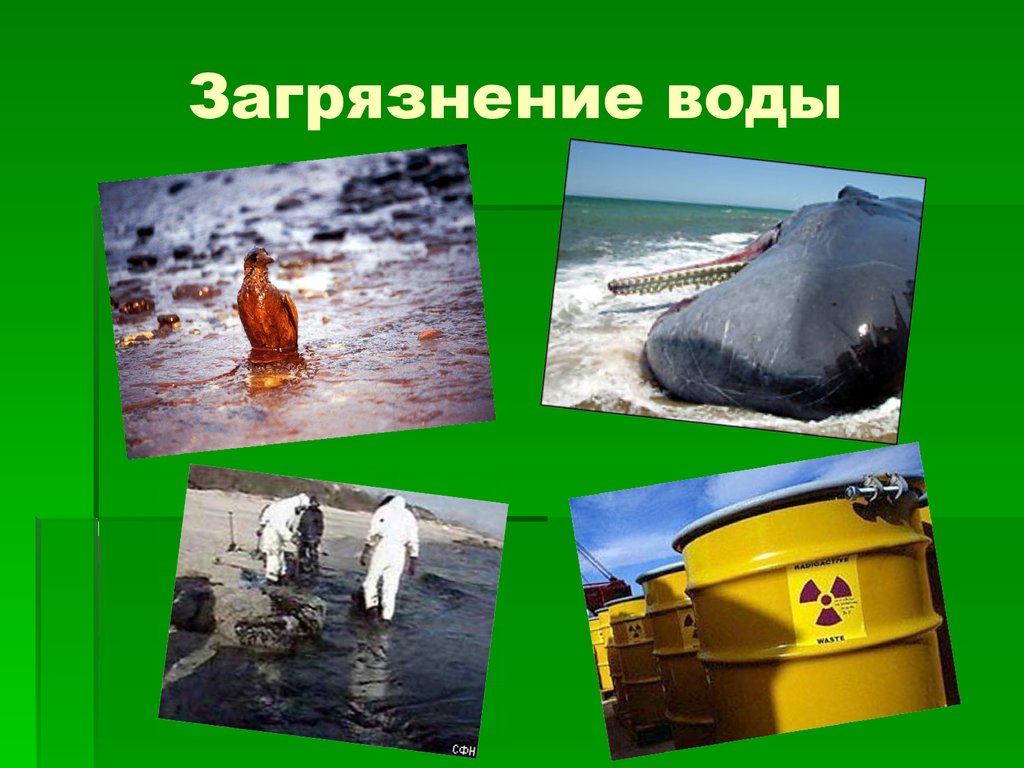 Цель проекта загрязнение воды