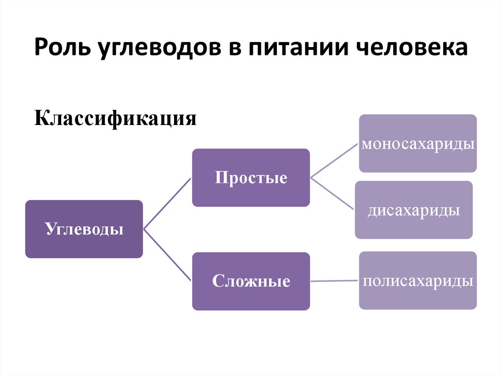 Углеводы и их роль и значение в жизни человека презентация