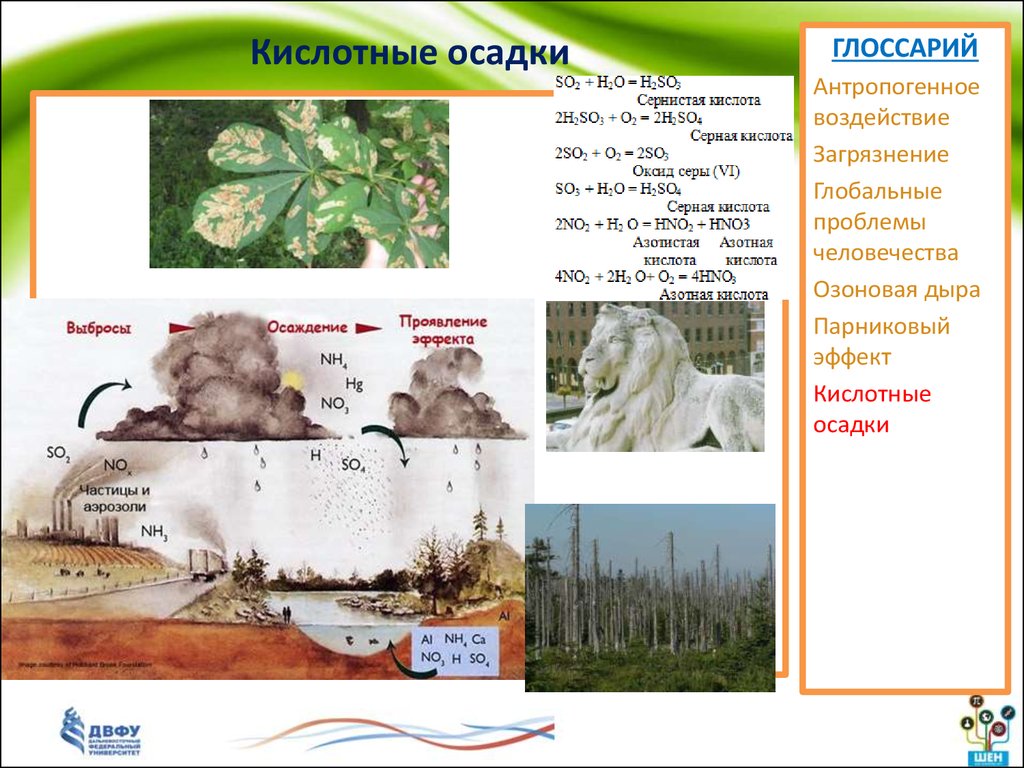 Проект по теме кислотные дожди и их влияние на окружающую среду