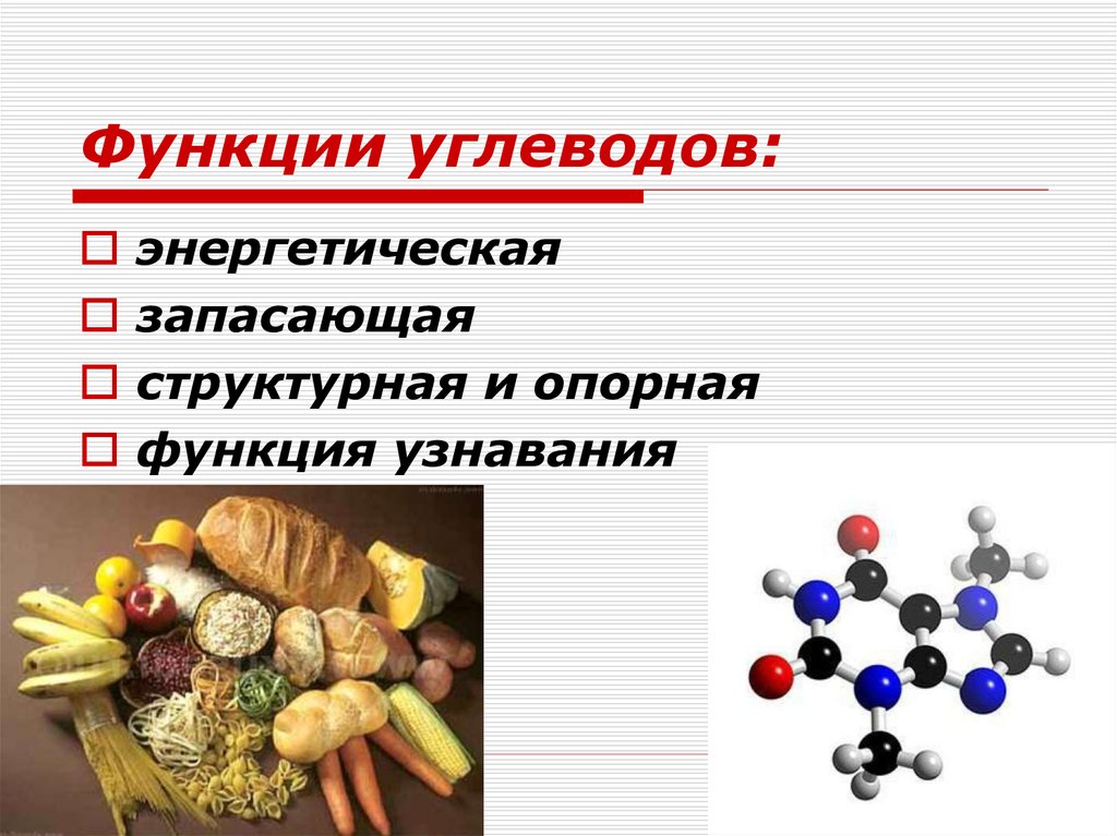 Презентация по углеводам