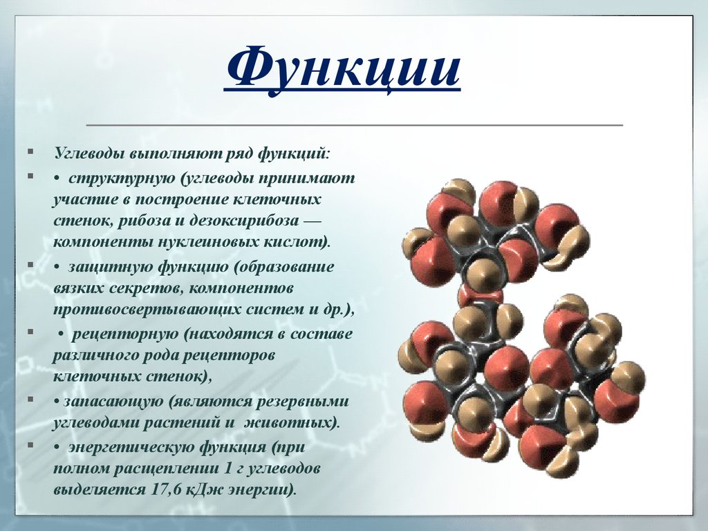 Проект по теме углеводы 10 класс химия