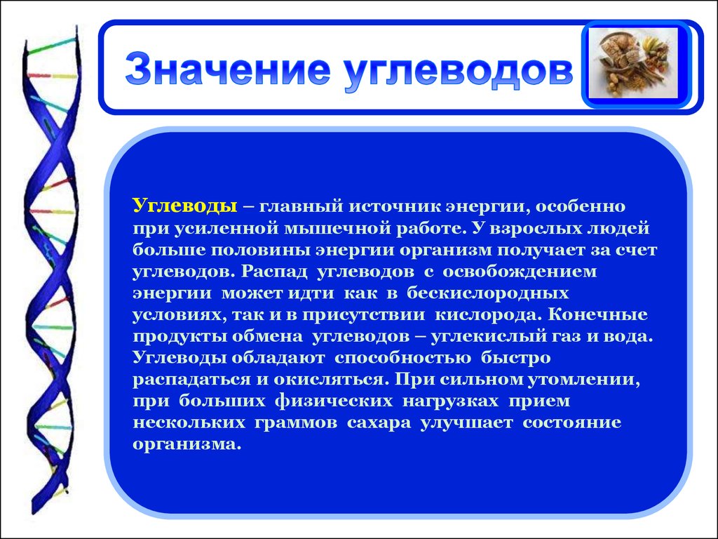 Углеводы и их роль и значение в жизни человека презентация