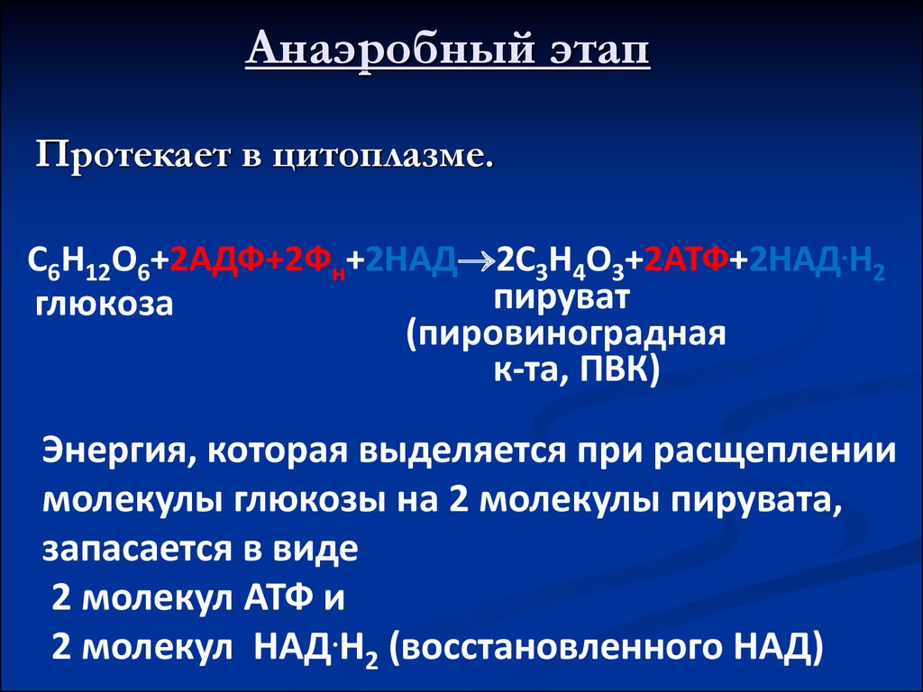 Аэробное дыхание схема