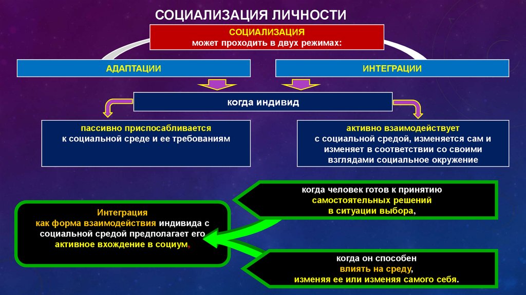 Заполните схему фазы становления личности адаптация индивидуализация