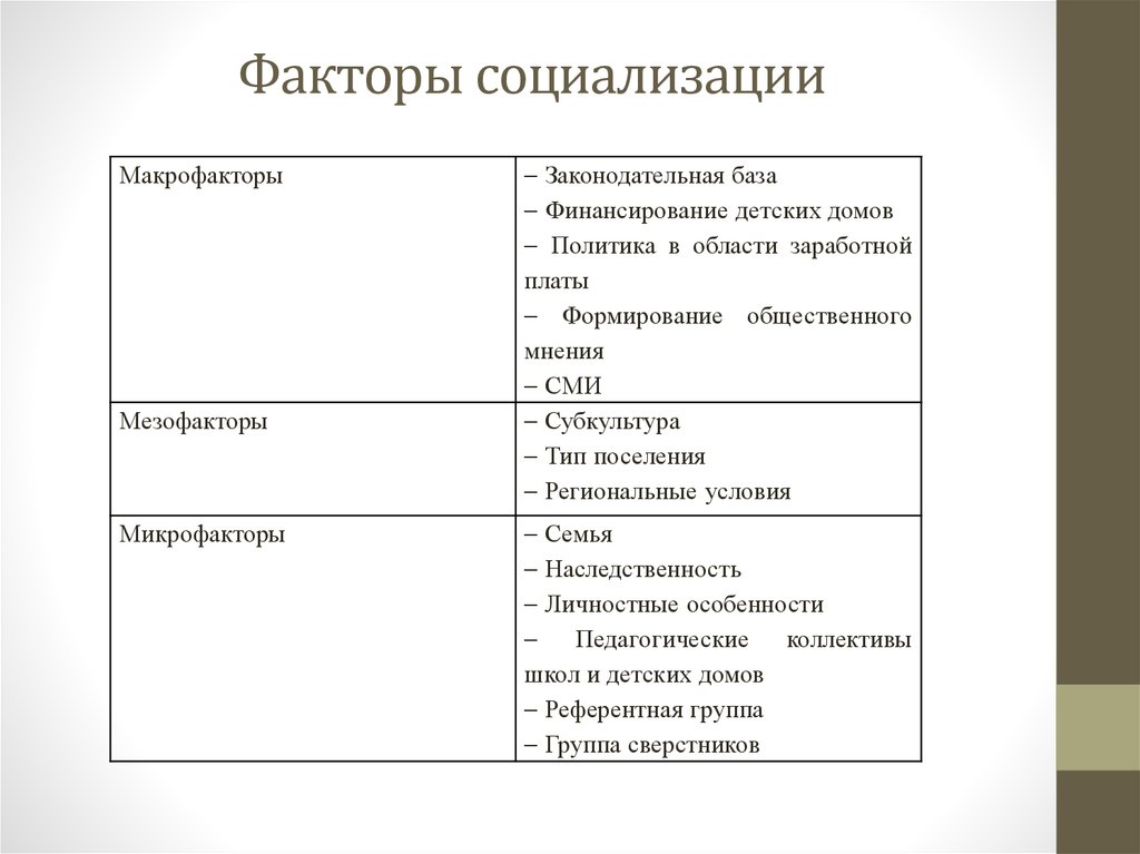 Мезофакторы социализации схема