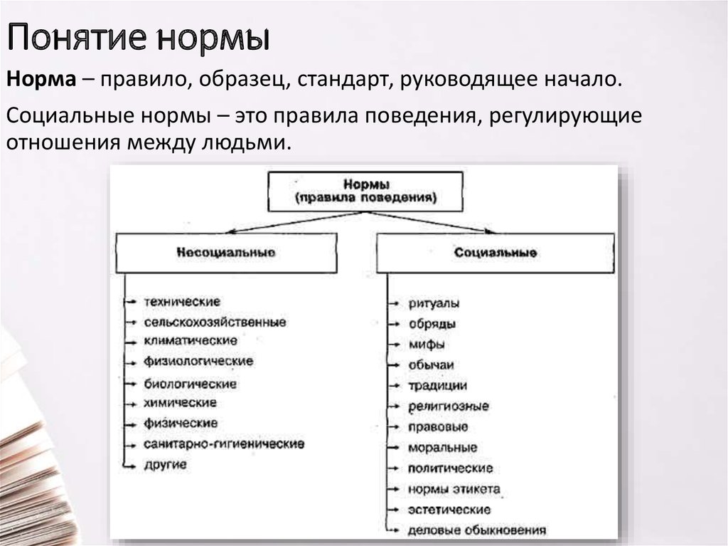 Вид группы взгляды и нормы которой служат образцом для личности