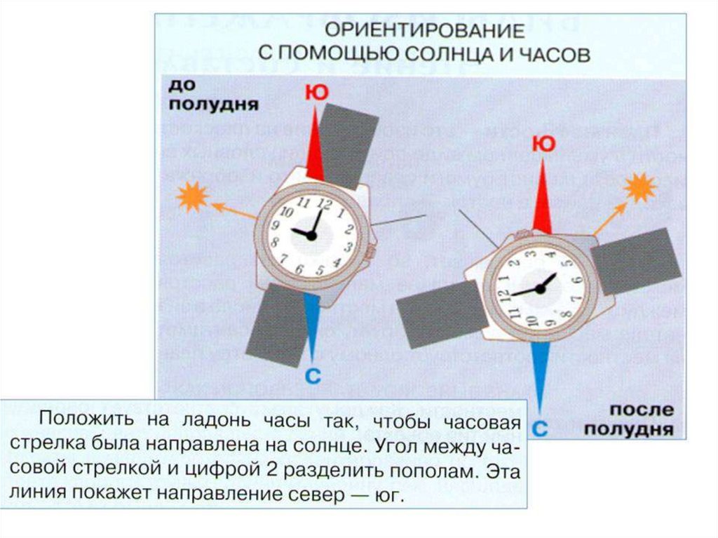 Часовая последовательность. Ориентирование на местности стороны горизонта. Ориентирование с помощью часов и солнца. Ориентация на местности по часам и солнцу. Ориентирование на местности по солнцу и часам.