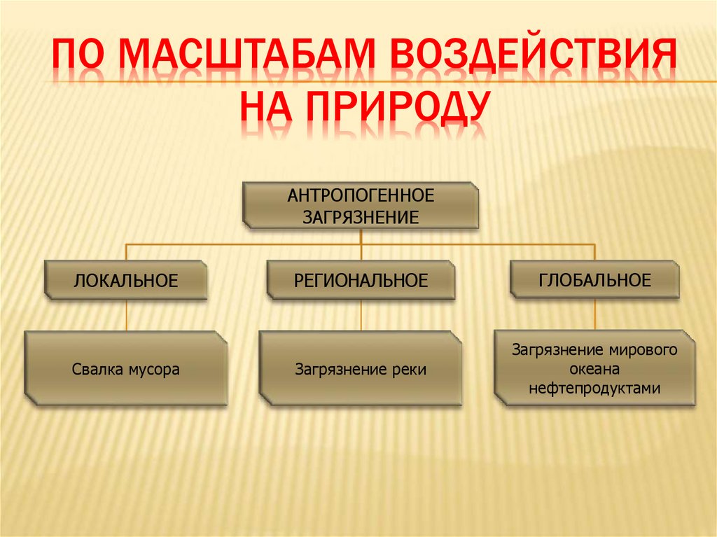 Виды загрязнения окружающей среды презентация