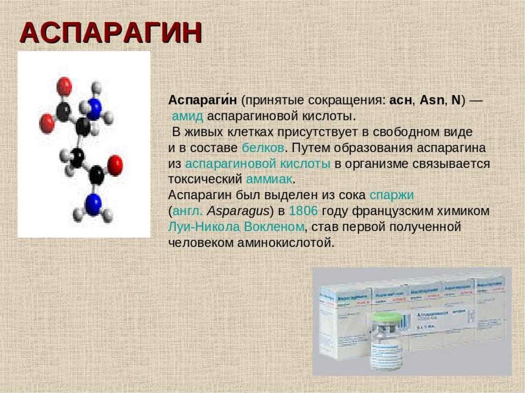 Аминокислоты применяются. Аспарагин формула химическая. Аспарагиновая аминокислота формула. Биологическая значимость аспарагиновой кислоты. Аспарагин аминокислота.