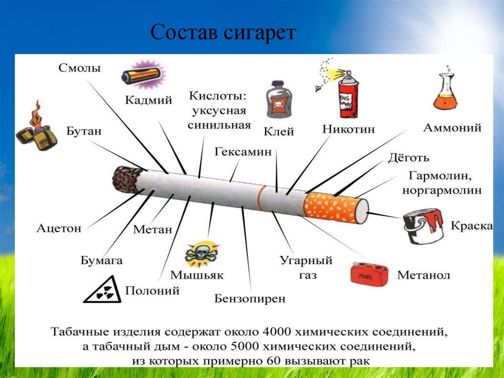 В состав никотина входят. Табакокурение состав табачного дыма. Химические элементы табака. Физико химические свойства табака. Состав сигаретного дыма ОБЖ.