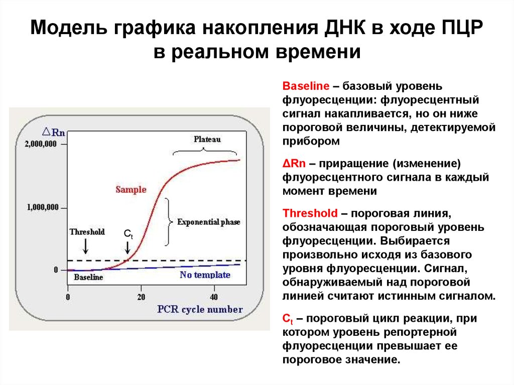 Пцр ошибка. Накопление продуктов ПЦР график. Real time ПЦР схема. ПЦР Реал тайм анализ данных. График ПЦР В реальном времени.