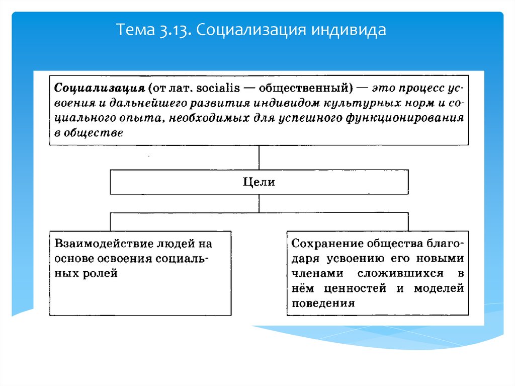 План процесса социализации