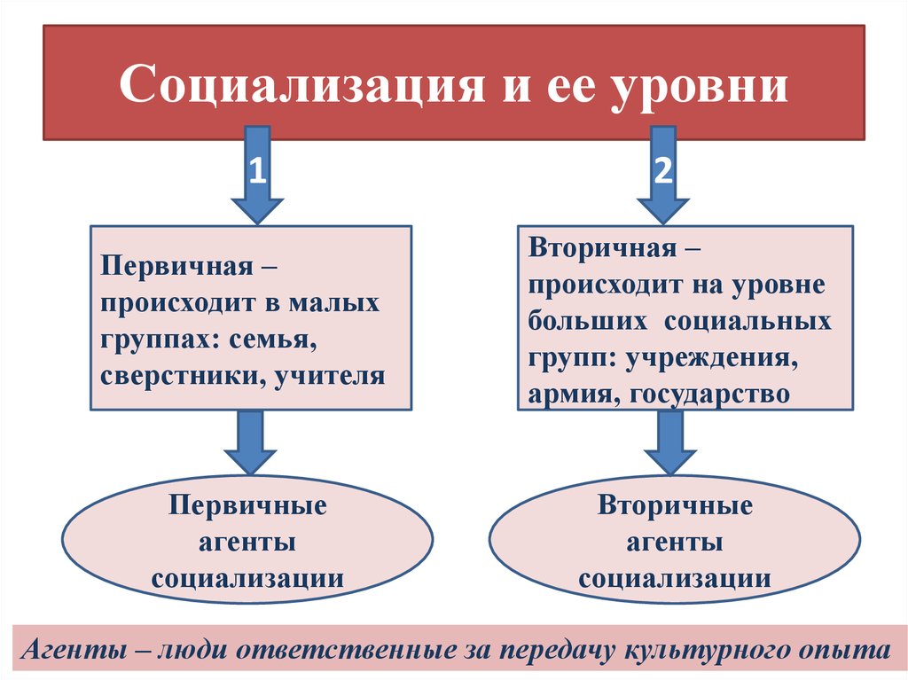 Составь в тетради схему агенты социализации указав какие агенты социализации относятся к первичным к