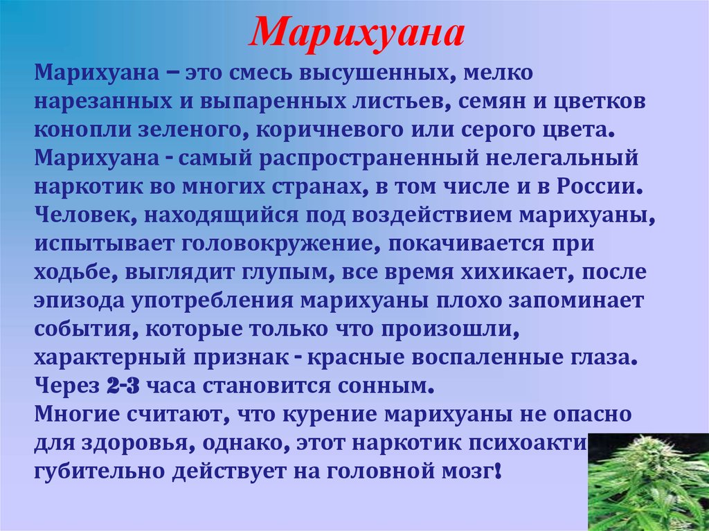 Марихуана здоровья https seedspost ru каталог семян