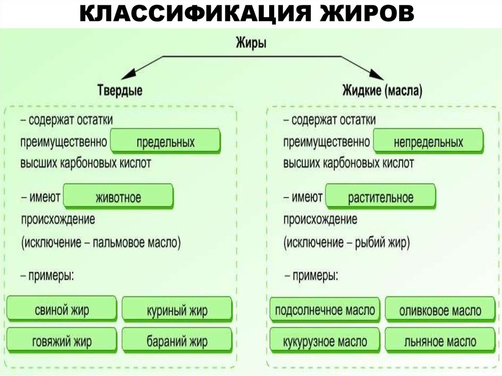 Пищевые жиры схема