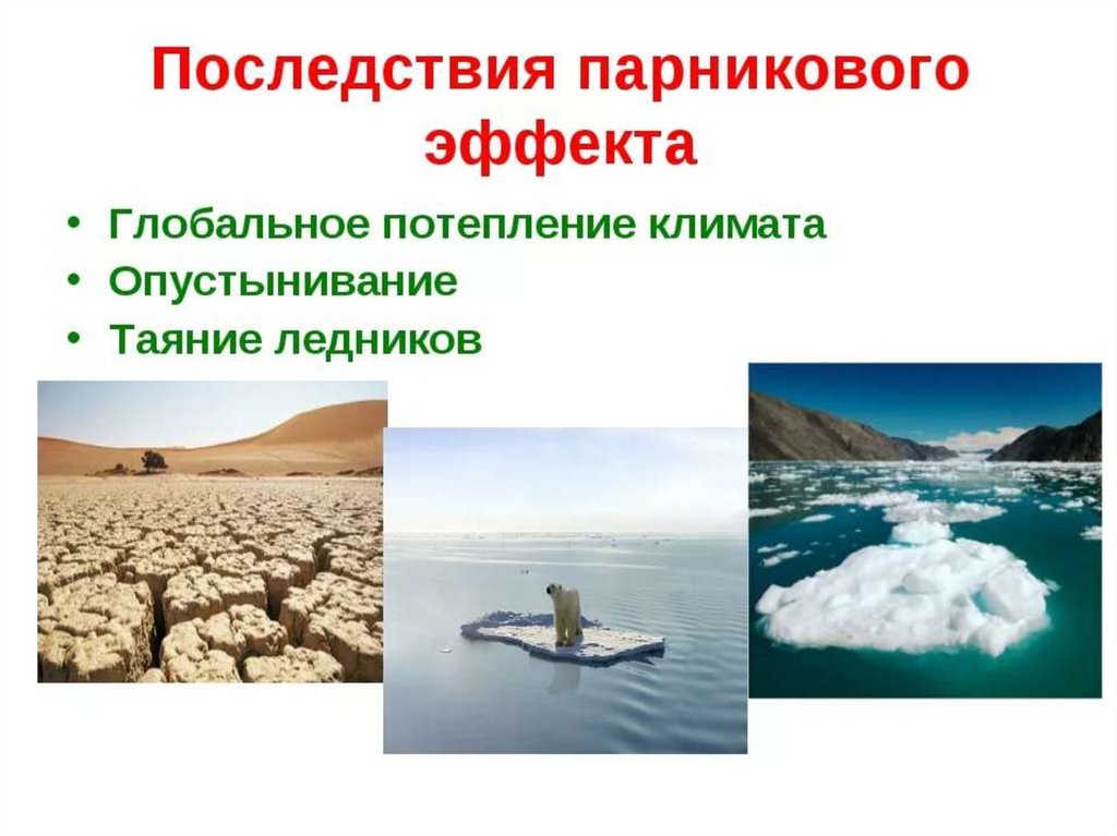 Как бороться с потеплением. Последствия парникового эффекта. Последствия шарикового эффекта. Последсвияпарникового эффекта. Парниковый эффект негативные последствия.