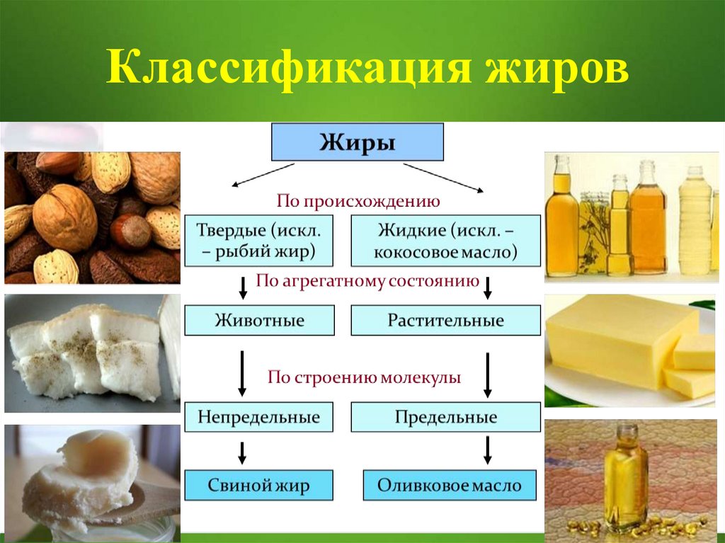 Растительный жир в бульоне