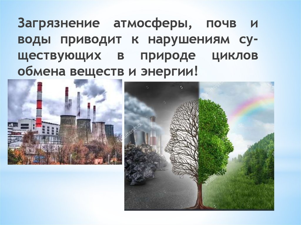 Загрязнение окружающей среды и здоровье человека обж 8 класс проект