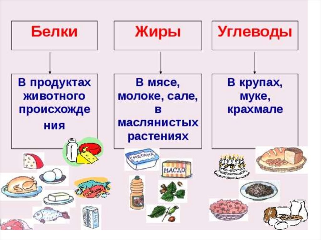 Белки жиры углеводы картинки для презентации