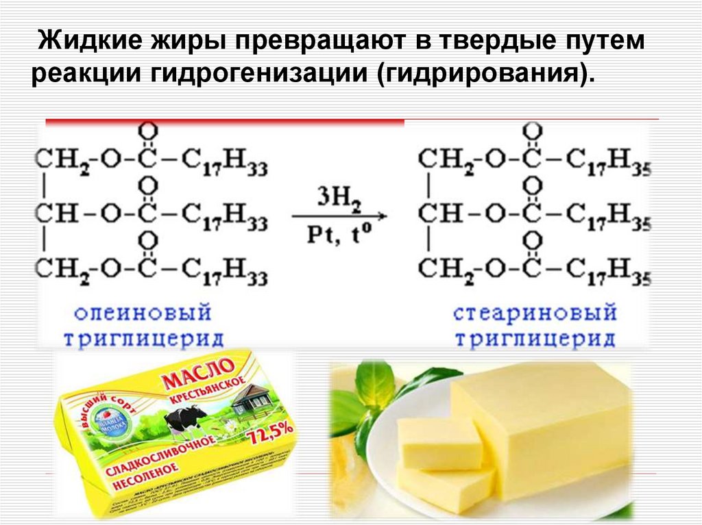 Жиры в химии презентация