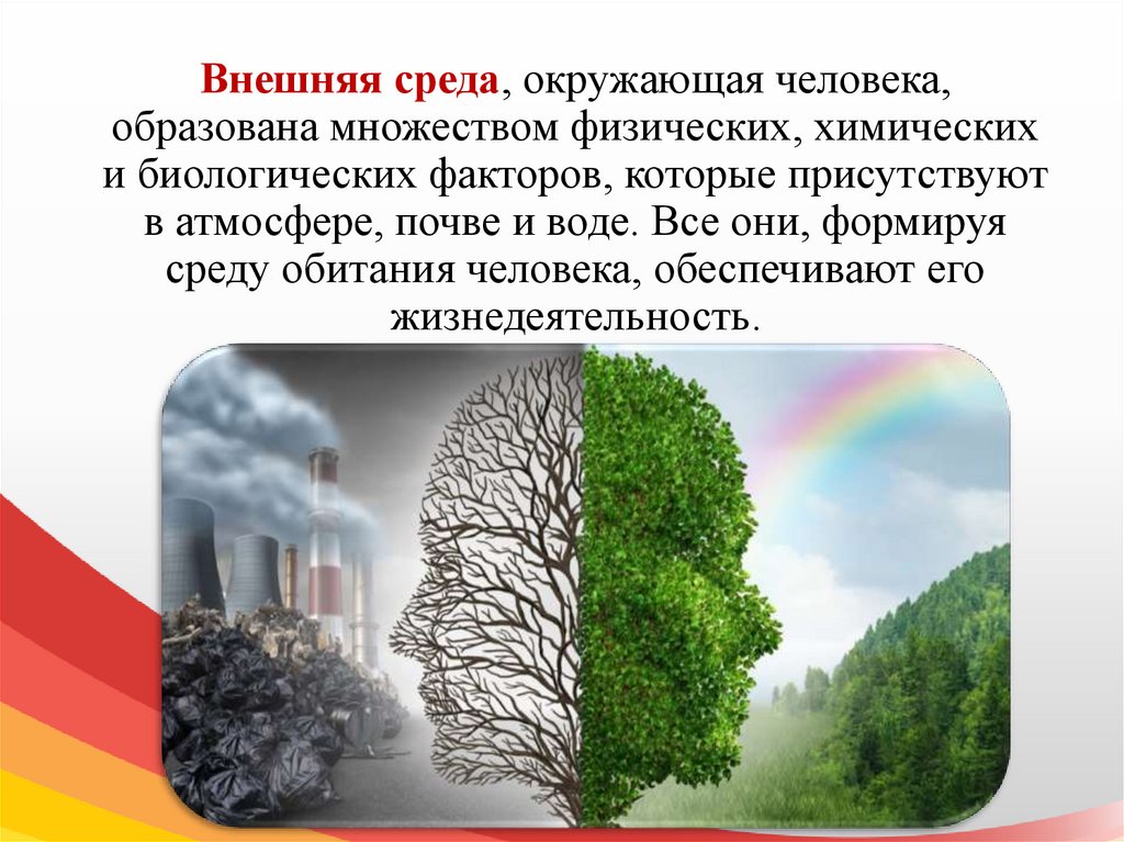 Влияние пластикового загрязнения на человека и биосферу проект