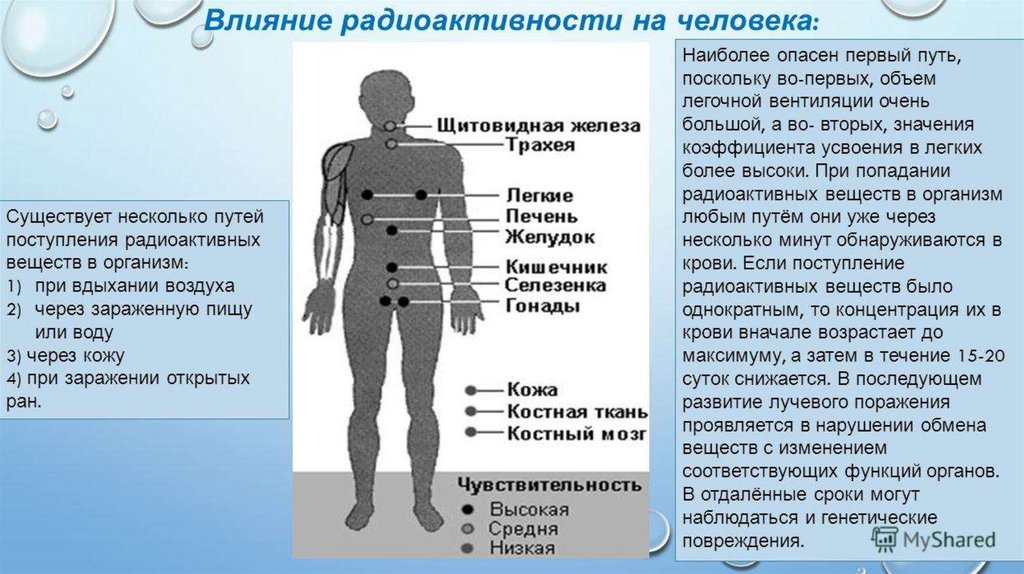 Как радиация влияет на человека фото