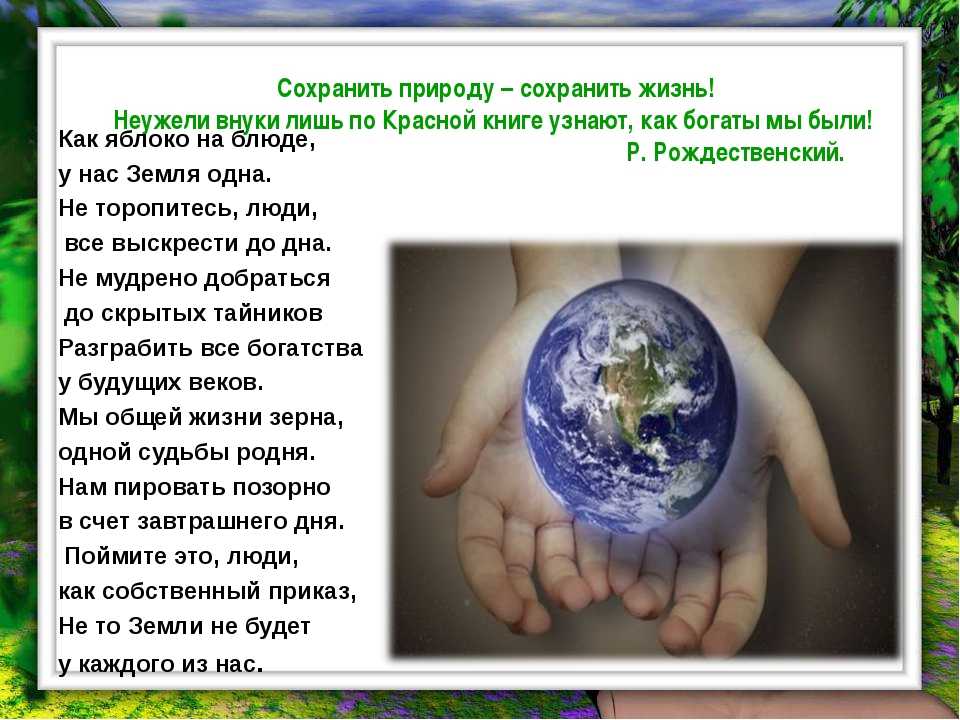 Охрана окружающей среды картинки с текстом