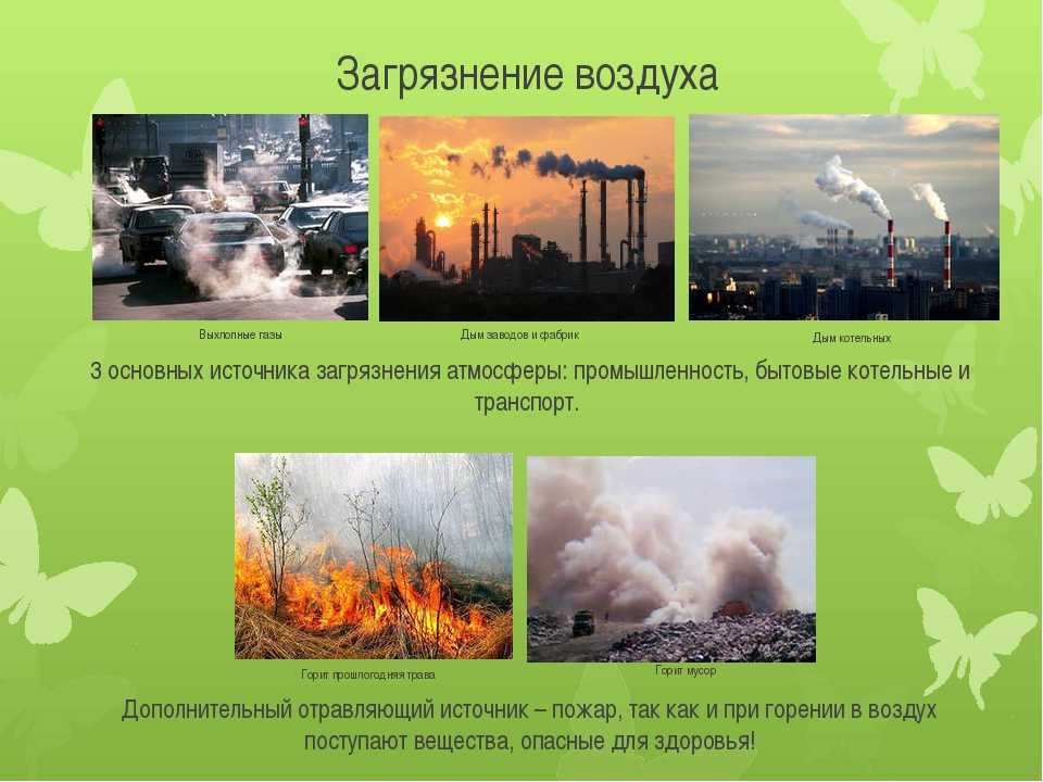 К последствиям загрязнения атмосферного воздуха относятся показанные на рисунке омертвленные участки