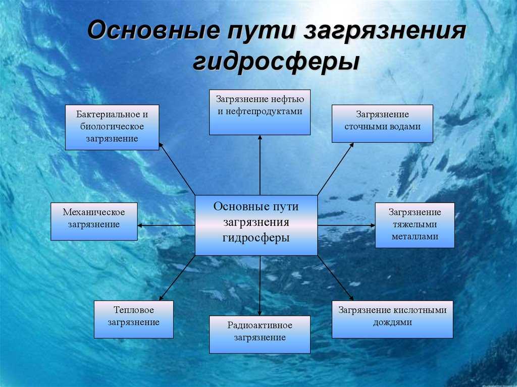 Глобальные изменения в биосфере вызванные деятельностью человека схема