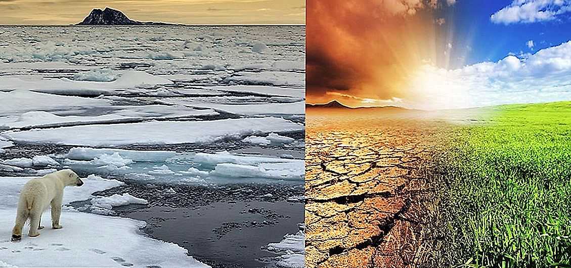 Изменение климата влияние на природу