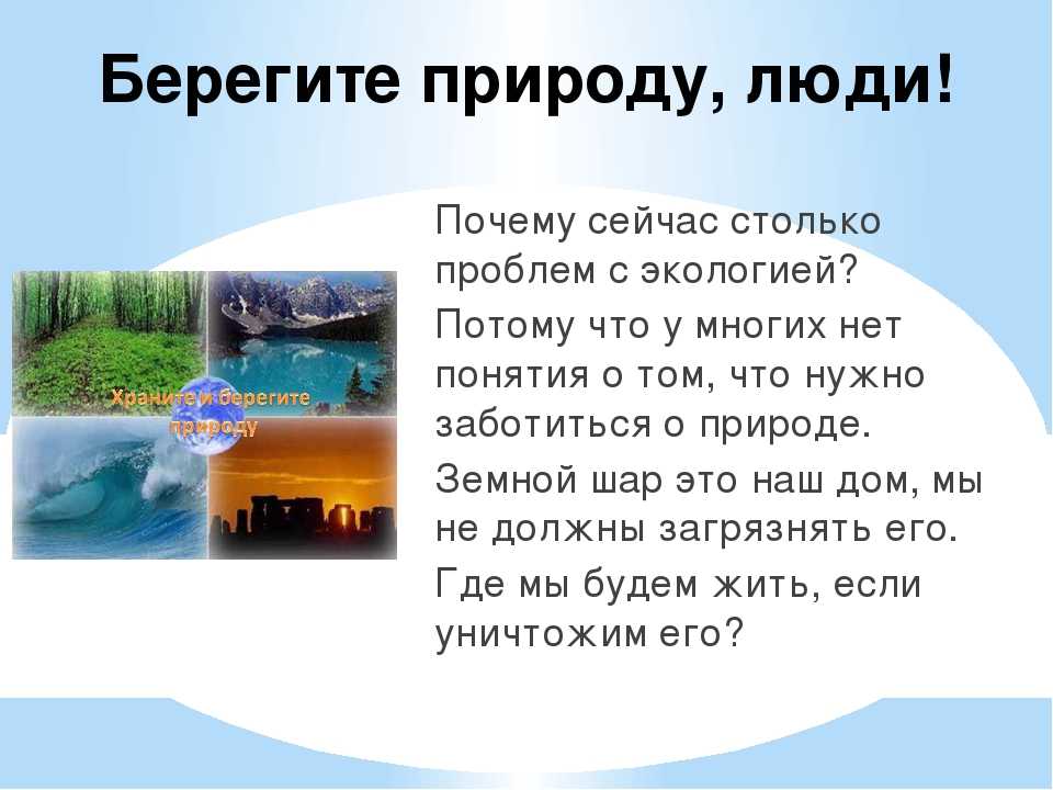 Берегите природу проект по окружающему миру