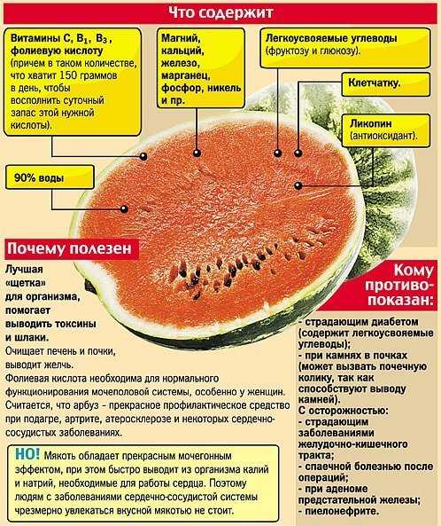 Можно ли после супа есть арбуз