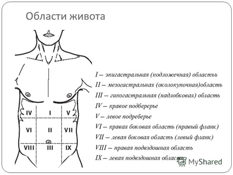 Определить что болит по картинке