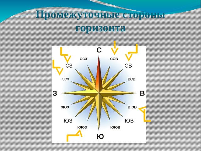 Какие есть горизонты. Стороны горизонта. Промежуточные стороны горизонта. Промежуточная сторона гориз. Основные и промежуточные стороны горизонта.