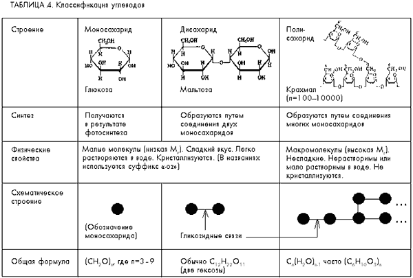 Углеводы схема строения