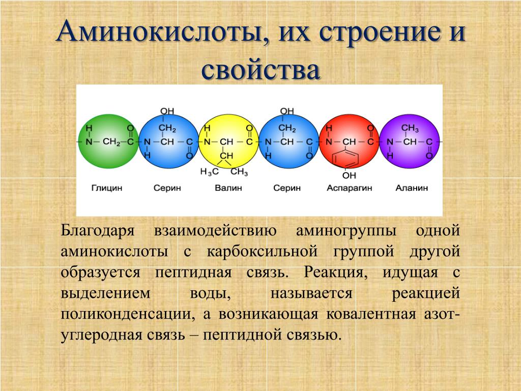 Записать аминокислоты. Аминокислоты. Строение аминокислот. Аминокислоты их строение. Общее строение аминокислот.