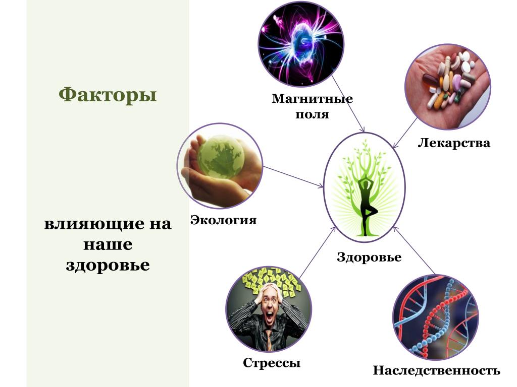 Презентация экологические факторы влияющие на здоровье человека