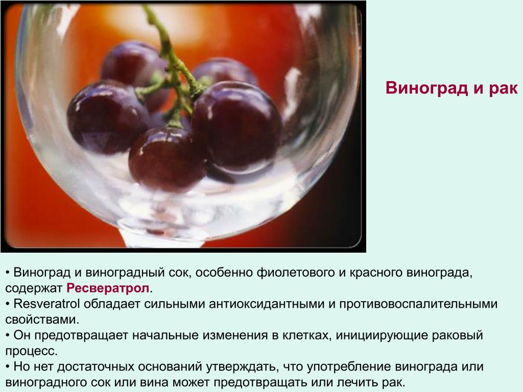 Можно пить виноградный сок. Ресвератрол виноград. Ресвератрол Виноградном соке. Виноград при онкозаболевании. Полезные свойства ресвератрола.
