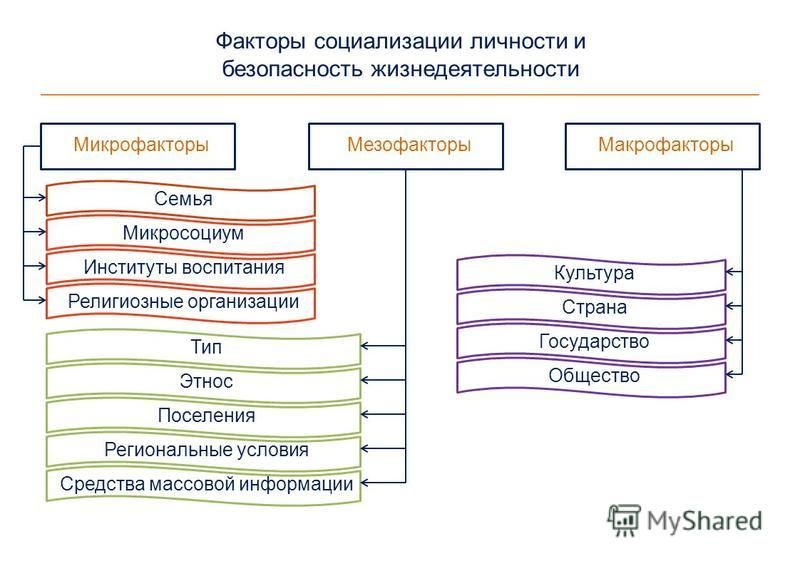 Мезофакторы социализации схема