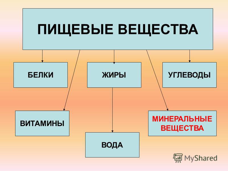 Жиры белки минеральные вещества