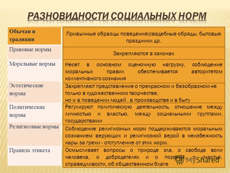 Экономические нормы примеры